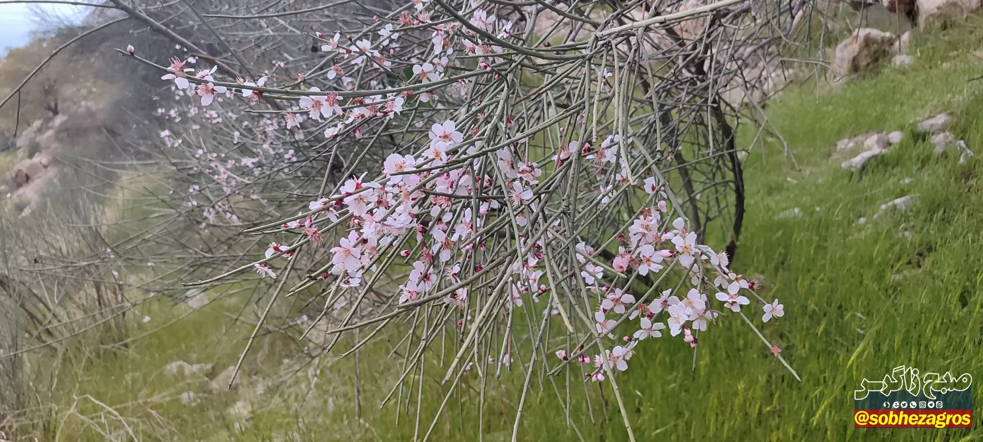 تنگ ماغر مکانی دیدنی برای مسافران نوروزی