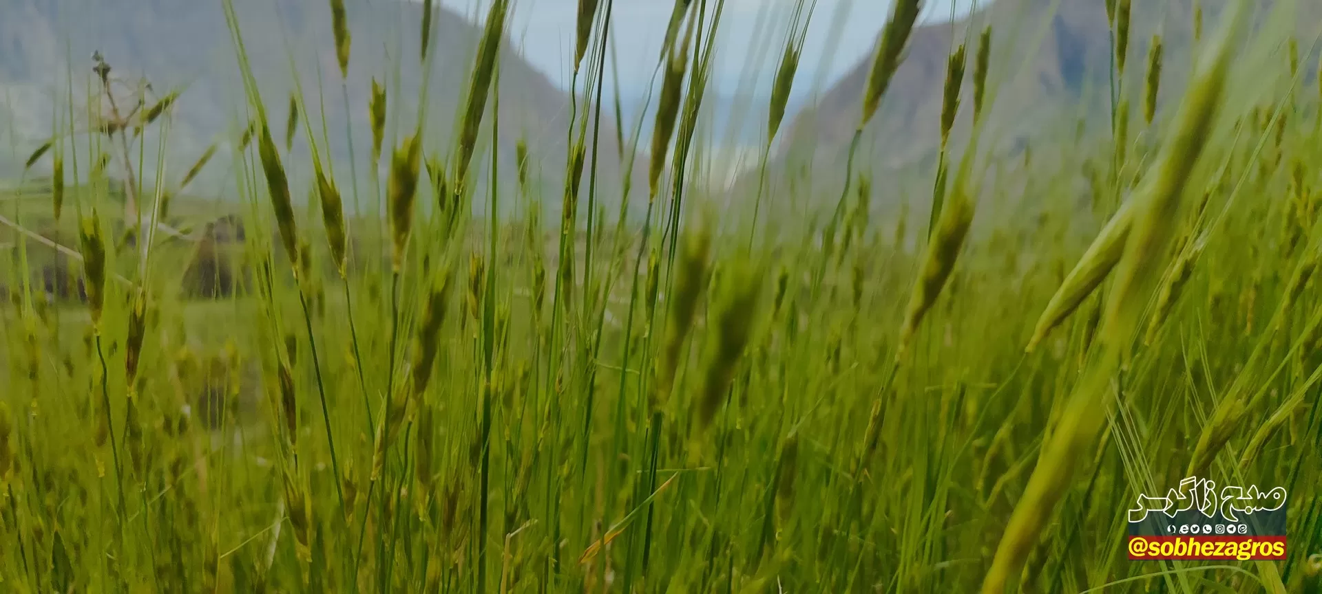 تنگ ماغر مکانی دیدنی برای مسافران نوروزی