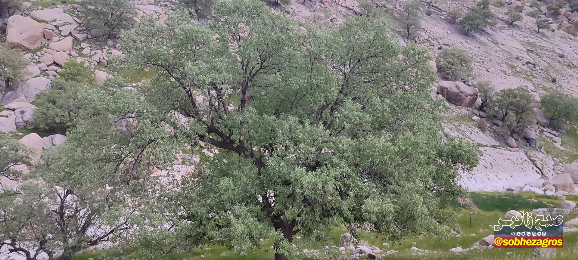 تنگ ماغر مکانی دیدنی برای مسافران نوروزی