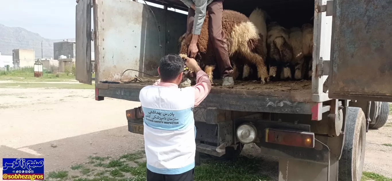 حمل دام بدون مجوز دامپزشکی غیرمجاز است