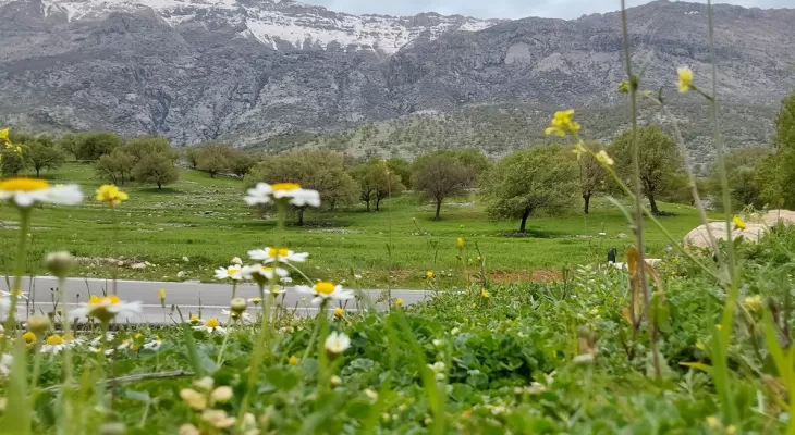 طبیعت زیبای منطقه میان لوداب بویراحمد