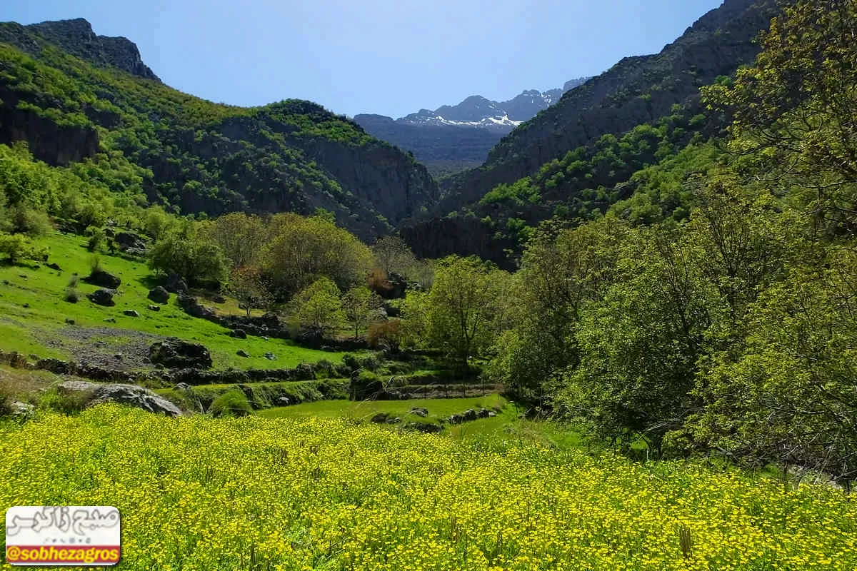 رود رونه،‌‌‌ بهشت شگفت‌انگیز در‌کهگیلویه و بویراحمد+ تصاویر