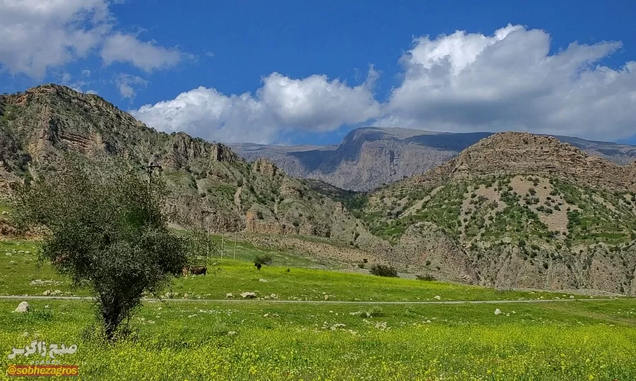 سفری رؤیایی به «نارک» در گچساران+ تصاویر