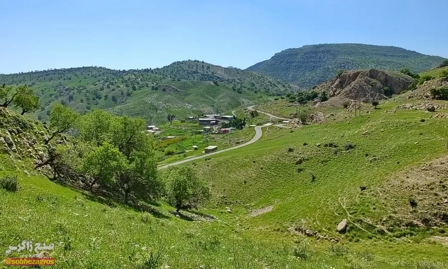 سفری رؤیایی به «نارک» در گچساران+ تصاویر