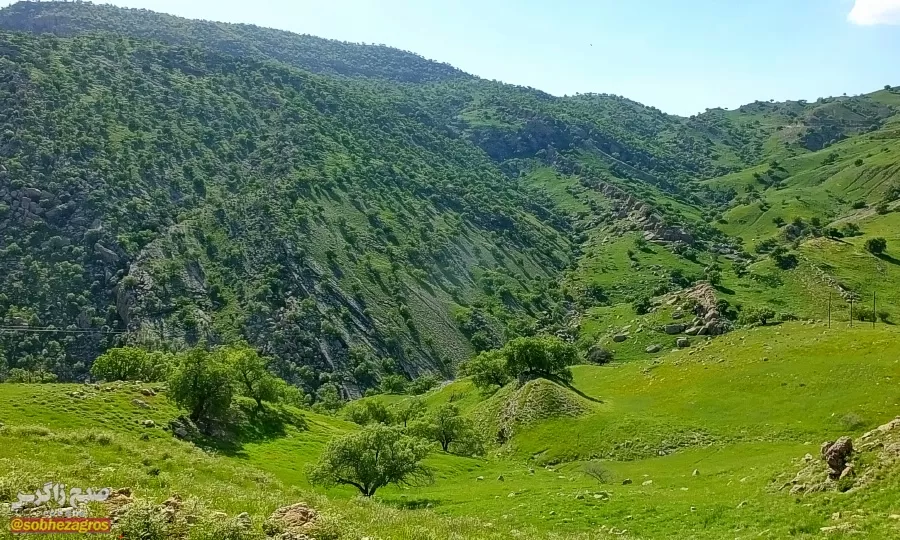 سفری رؤیایی به «نارک» در گچساران+ تصاویر