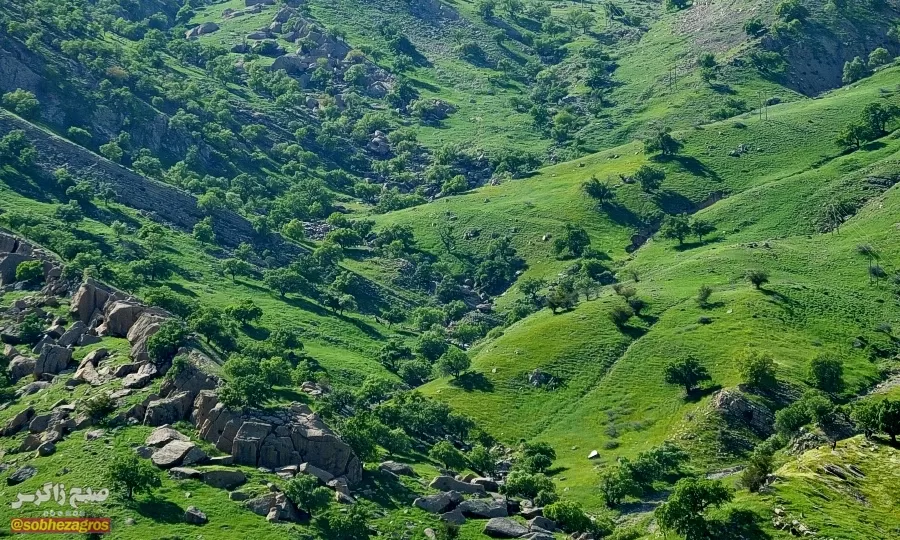 سفری رؤیایی به «نارک» در گچساران+ تصاویر