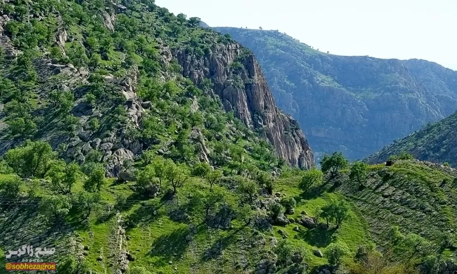 سفری رؤیایی به «نارک» در گچساران+ تصاویر