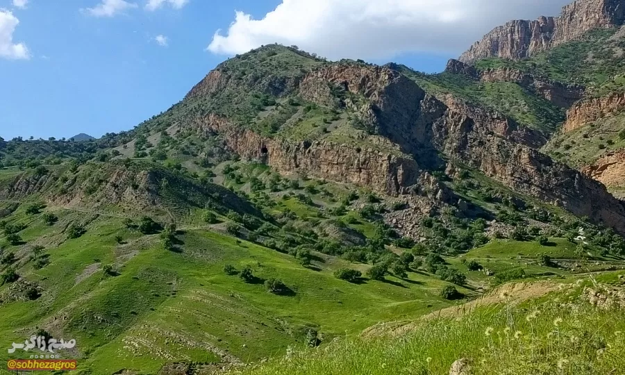 سفری رؤیایی به «نارک» در گچساران+ تصاویر