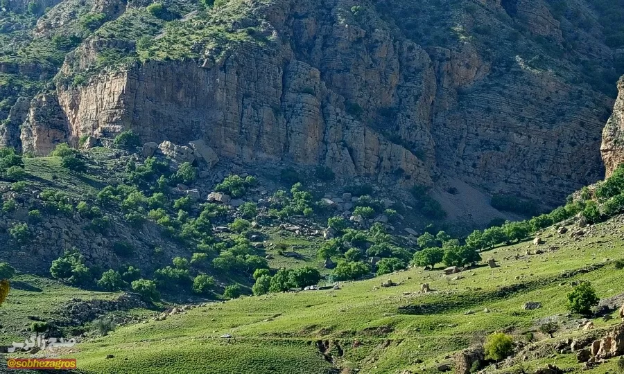 سفری رؤیایی به «نارک» در گچساران+ تصاویر