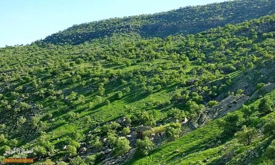 سفری رؤیایی به «نارک» در گچساران+ تصاویر