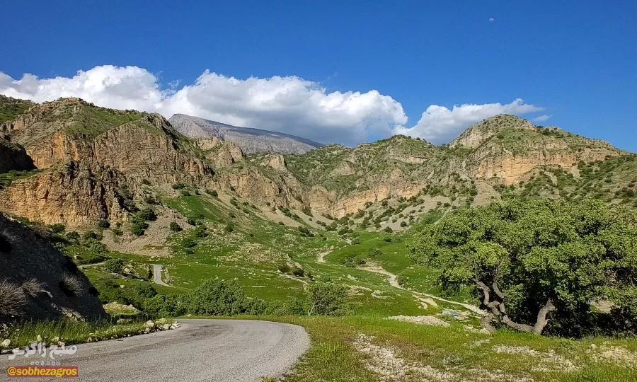 سفری رؤیایی به «نارک» در گچساران+ تصاویر