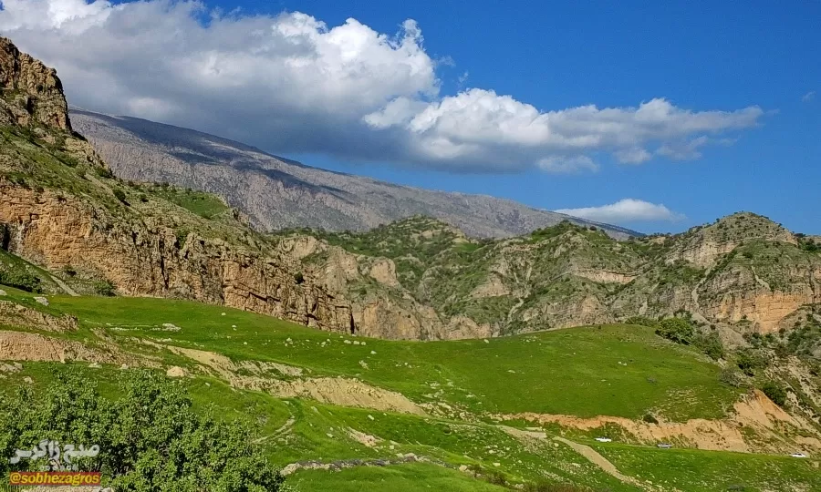 سفری رؤیایی به «نارک» در گچساران+ تصاویر