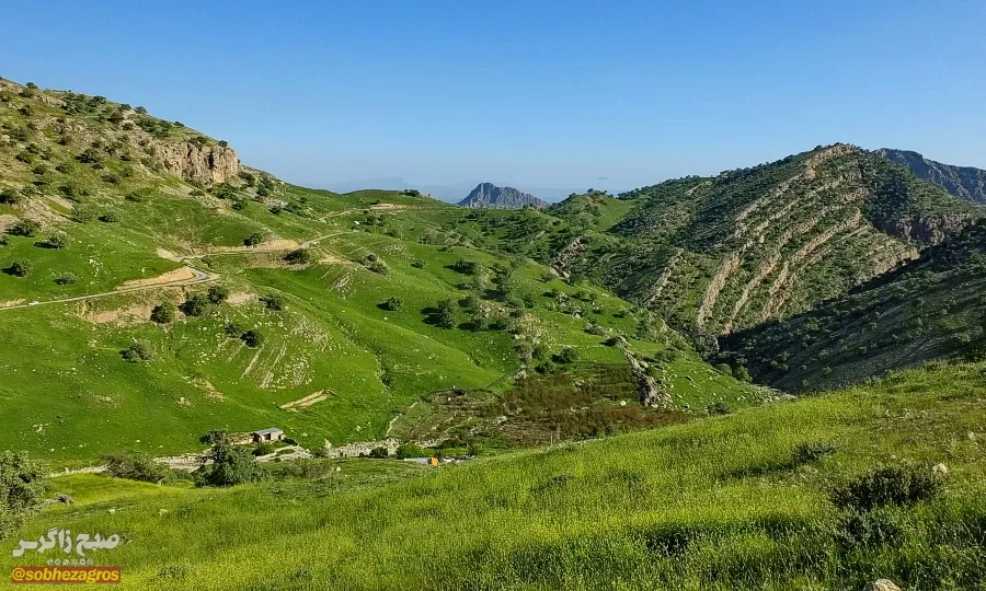 سفری رؤیایی به «نارک» در گچساران+ تصاویر