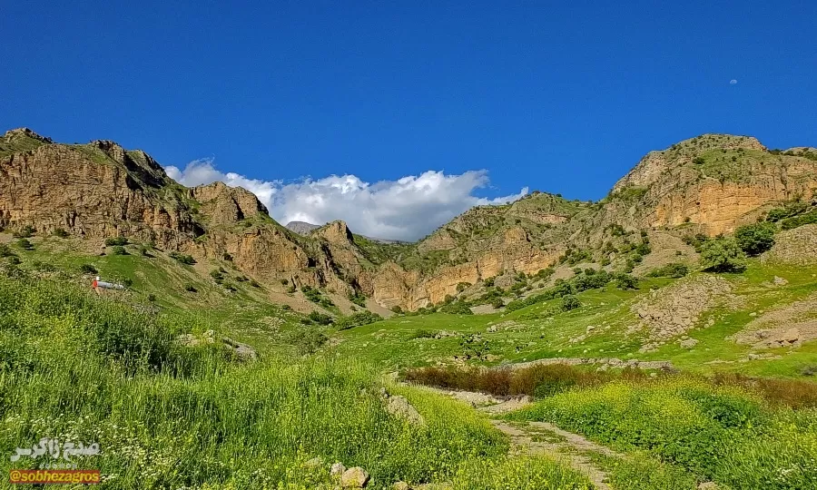 سفری رؤیایی به «نارک» در گچساران+ تصاویر