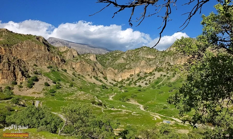 سفری رؤیایی به «نارک» در گچساران+ تصاویر