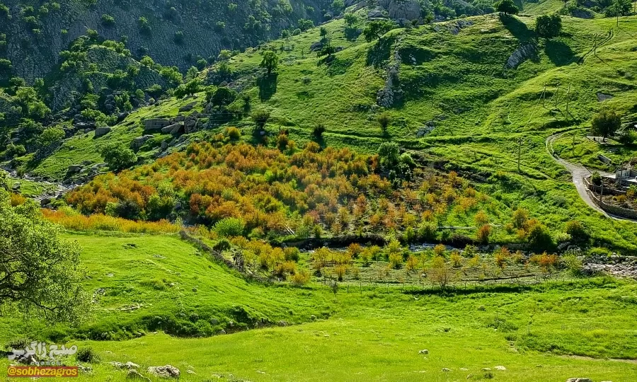 سفری رؤیایی به «نارک» در گچساران+ تصاویر