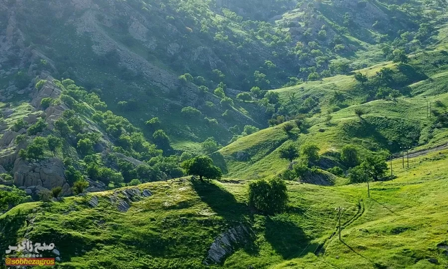 سفری رؤیایی به «نارک» در گچساران+ تصاویر