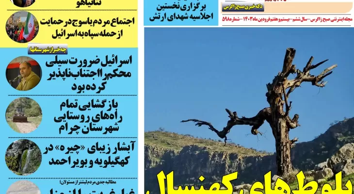 سایه مرگ بر سر بلوط‌های کهنسال زاگرس