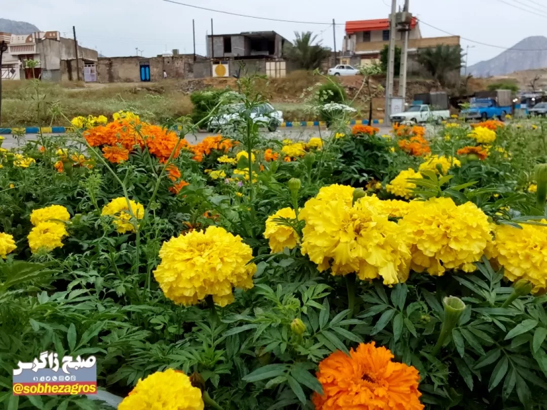 یک روز بارانی در شهرستان لنده