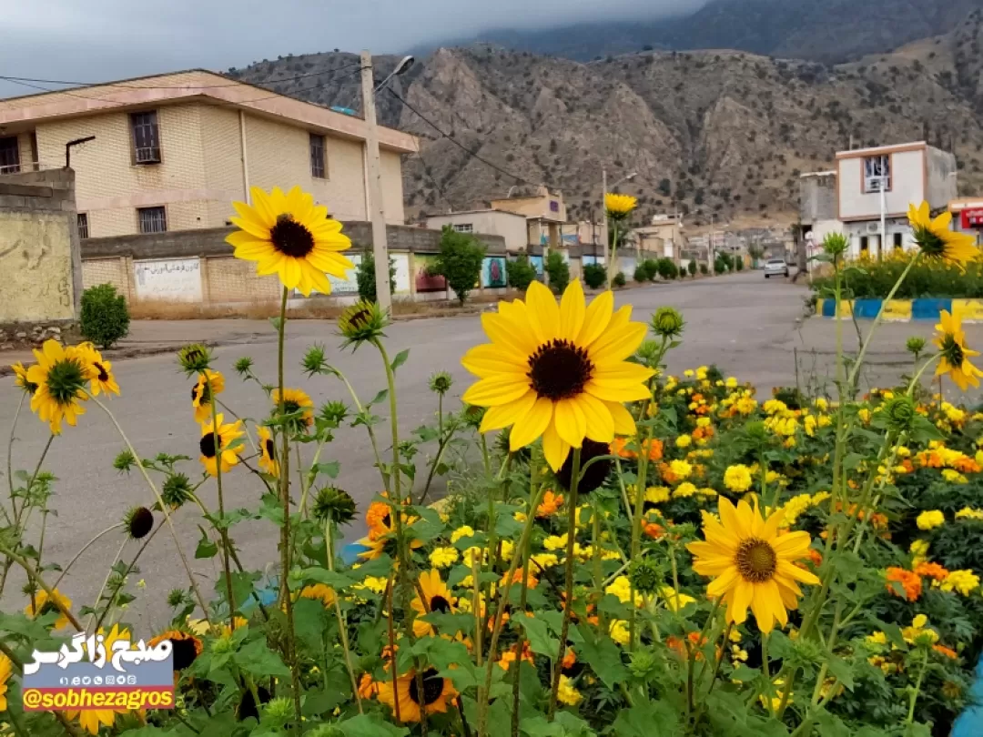 یک روز بارانی در شهرستان لنده