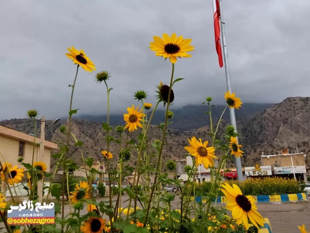 یک روز بارانی در شهرستان لنده