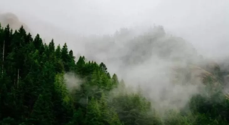 گزارش میدانی خبرنگار اعزامی ازعملیات جستجو در ورزقان