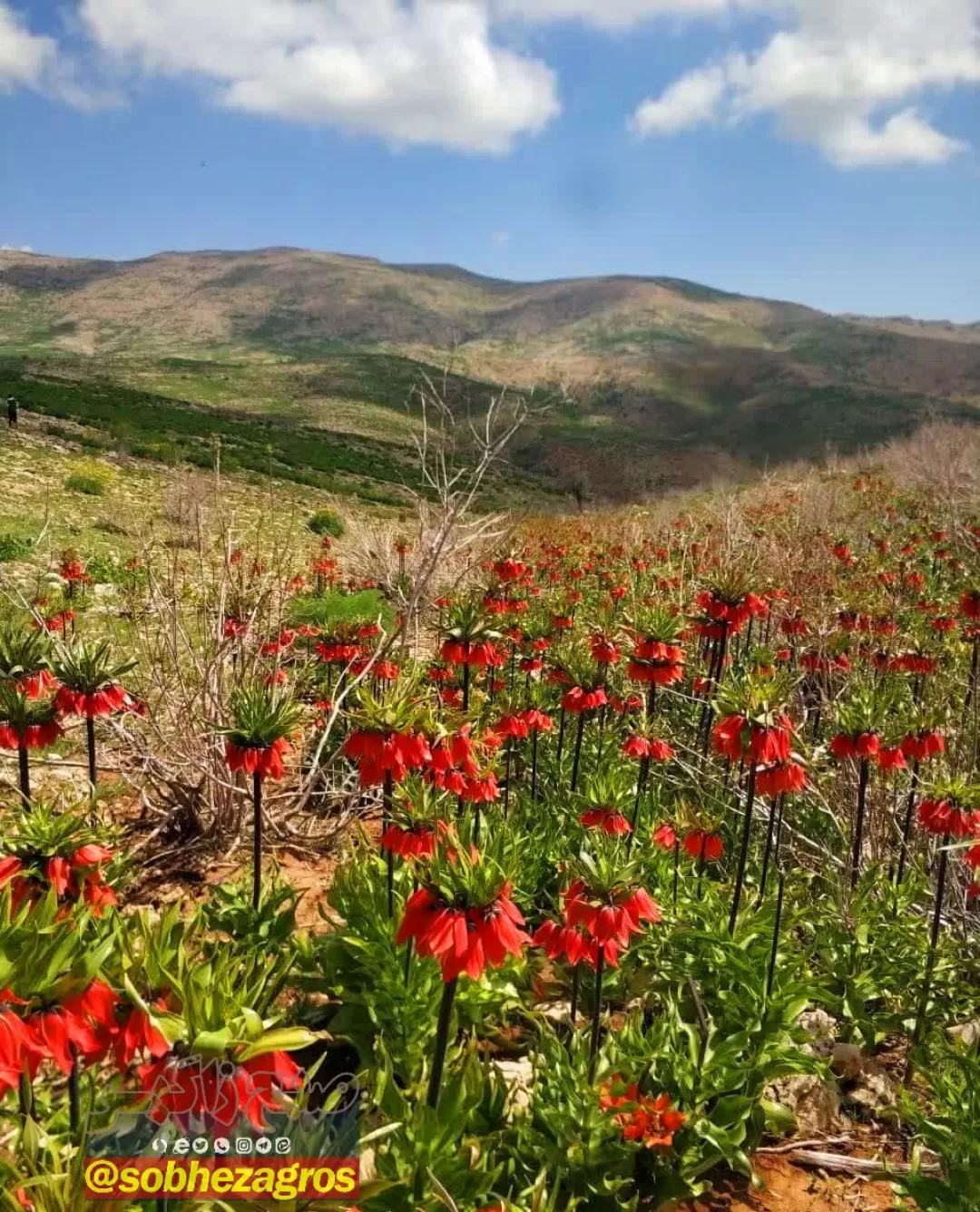 منطقه زیبای «نرماب» بویراحمد