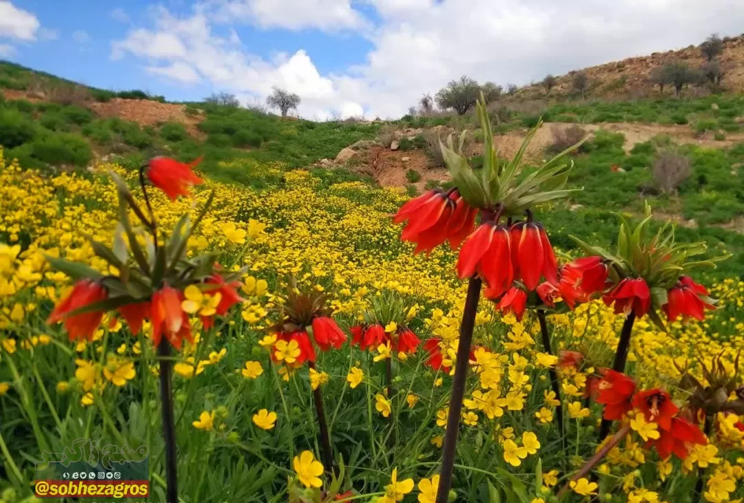 منطقه زیبای «نرماب» بویراحمد