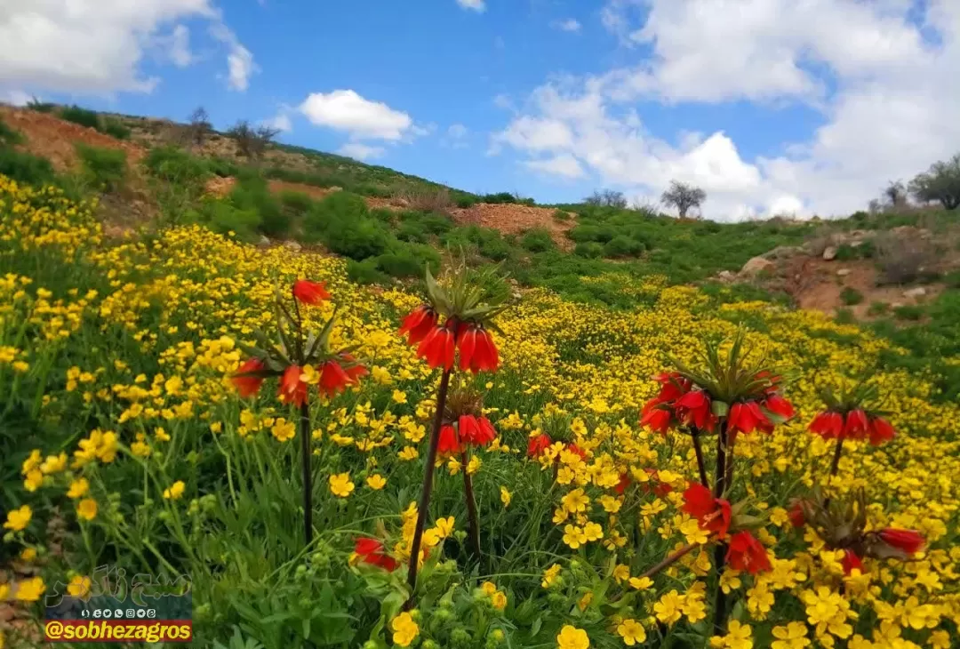 منطقه زیبای «نرماب» بویراحمد