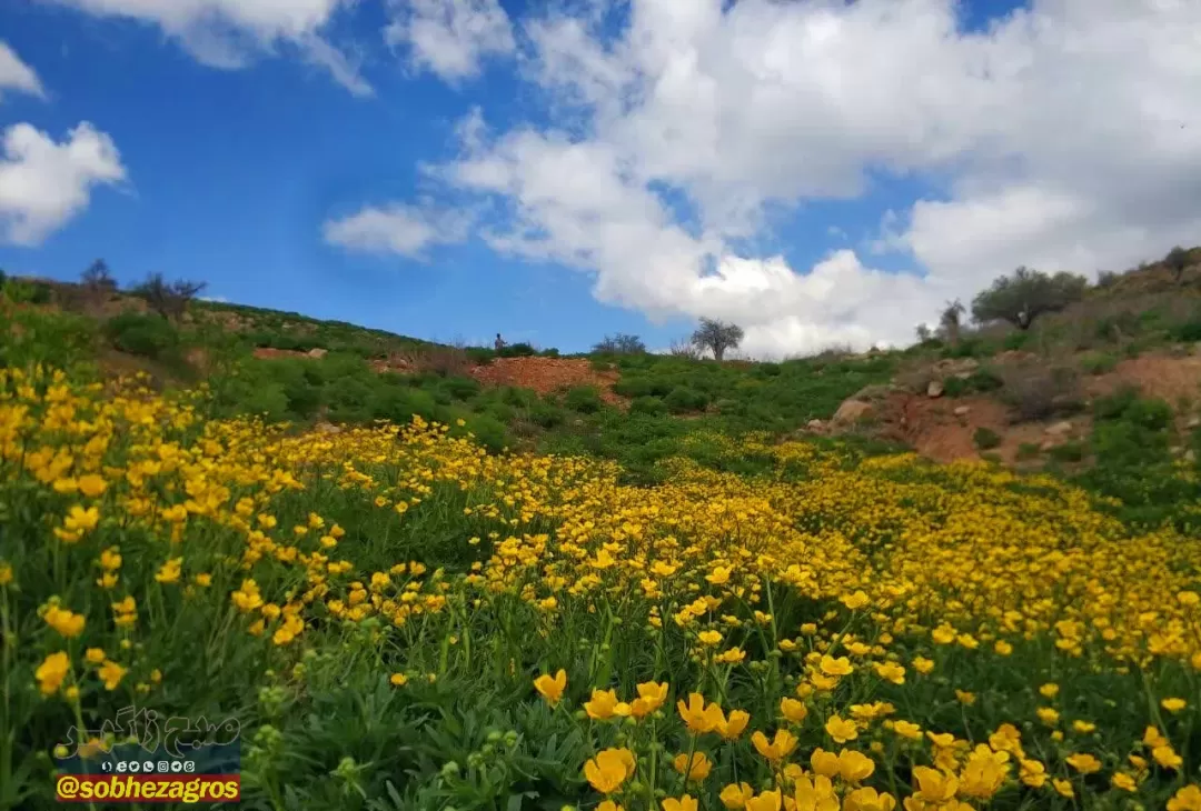 منطقه زیبای «نرماب» بویراحمد