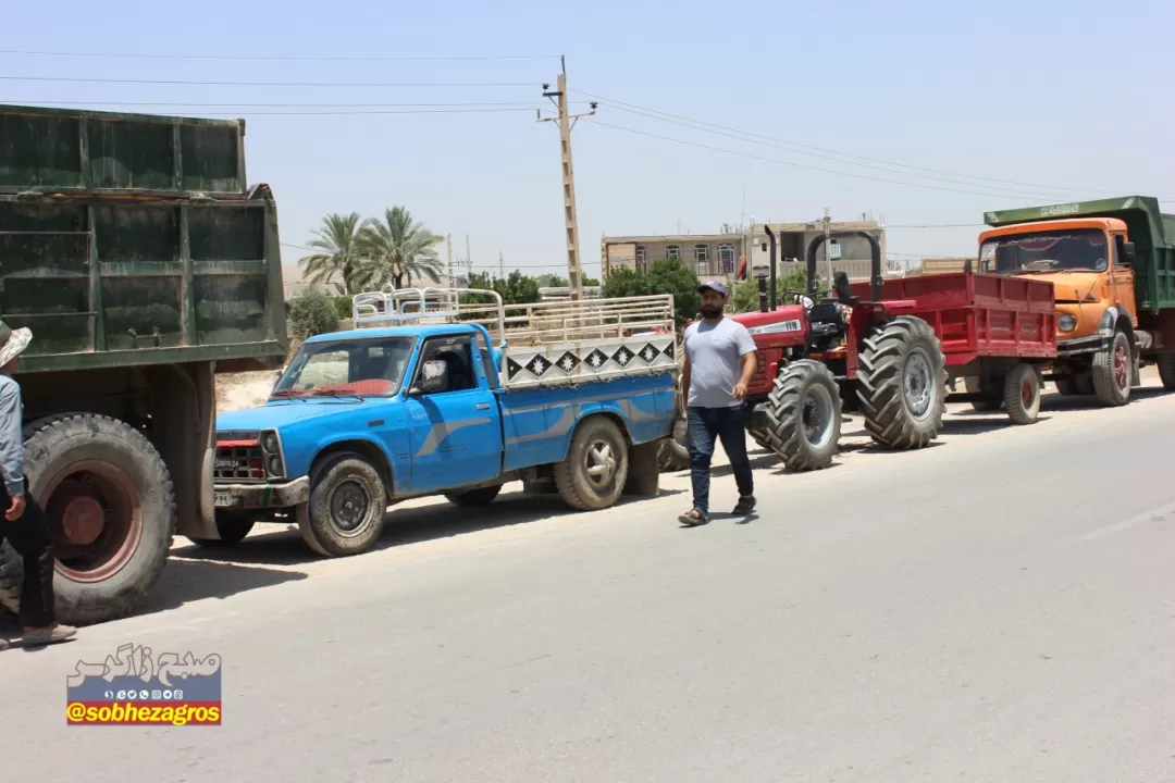 گلایه کشاورزان چرامی از صف طولانی خرید گندم