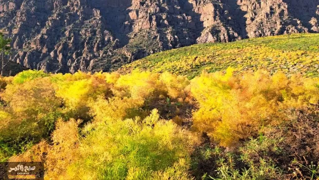 کوه‌گل دنا در قاب تصویر