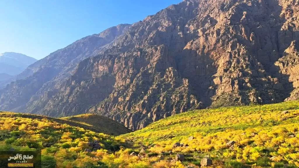 کوه‌گل دنا در قاب تصویر