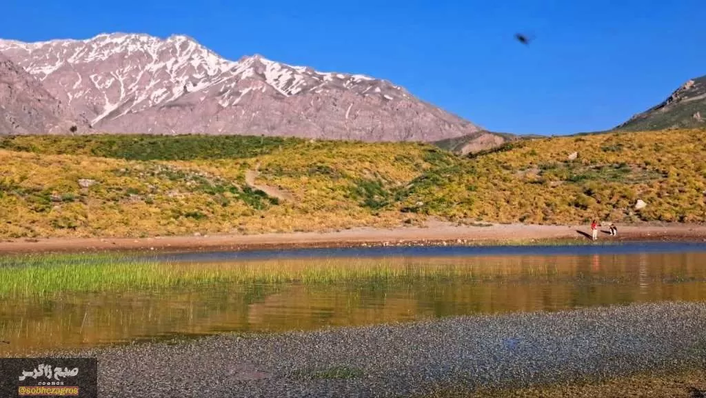 کوه‌گل دنا در قاب تصویر