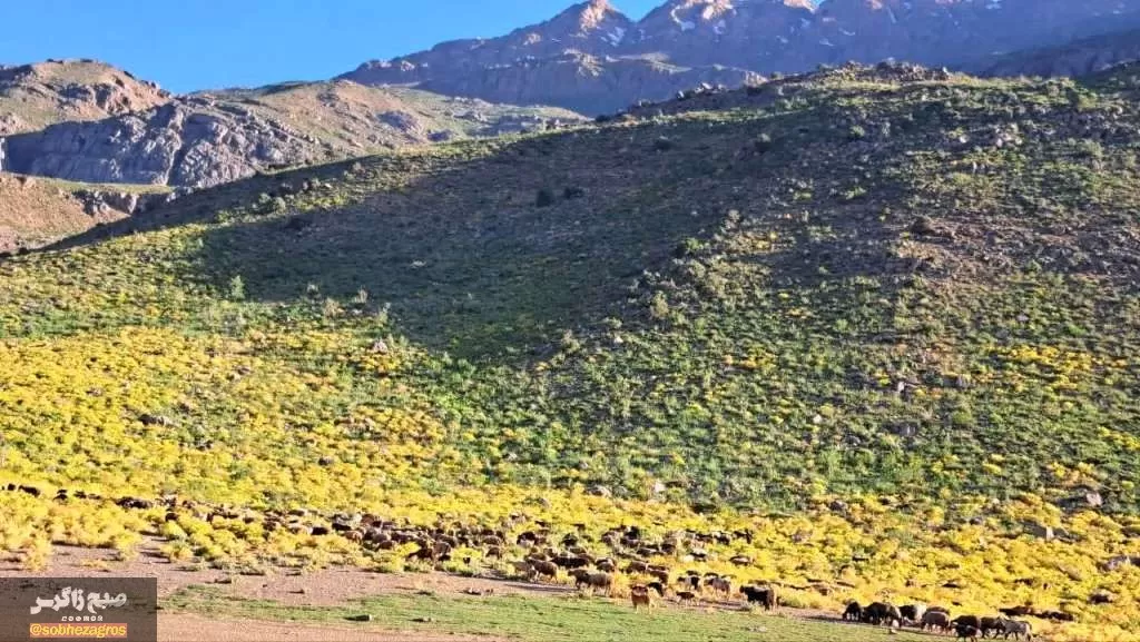 کوه‌گل دنا در قاب تصویر