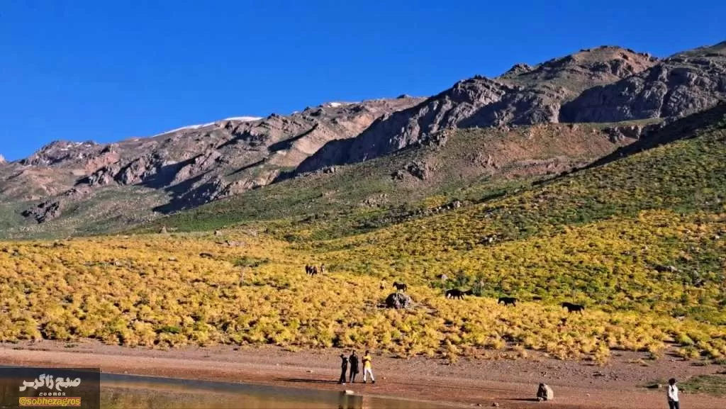 کوه‌گل دنا در قاب تصویر