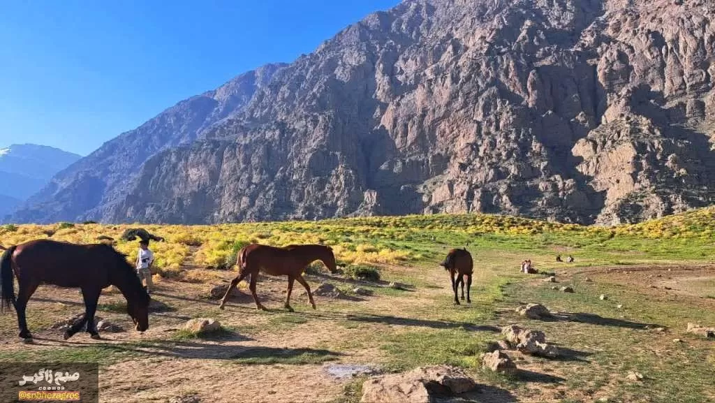 کوه‌گل دنا در قاب تصویر