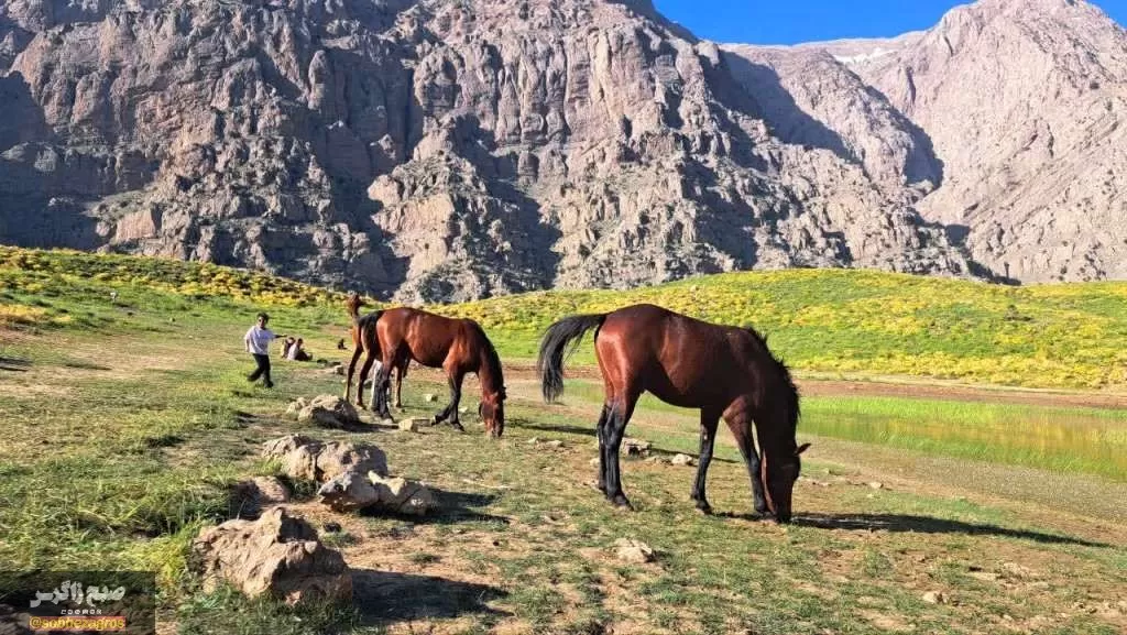 کوه‌گل دنا در قاب تصویر