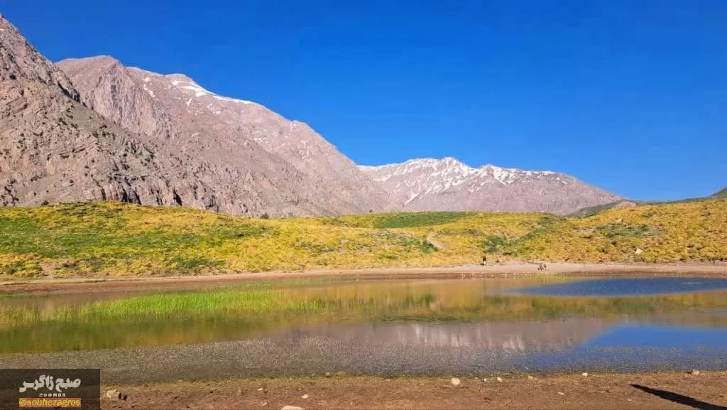 کوه‌گل دنا در قاب تصویر