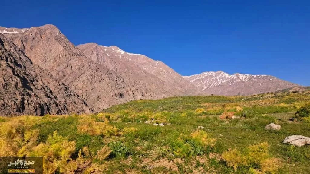 کوه‌گل دنا در قاب تصویر