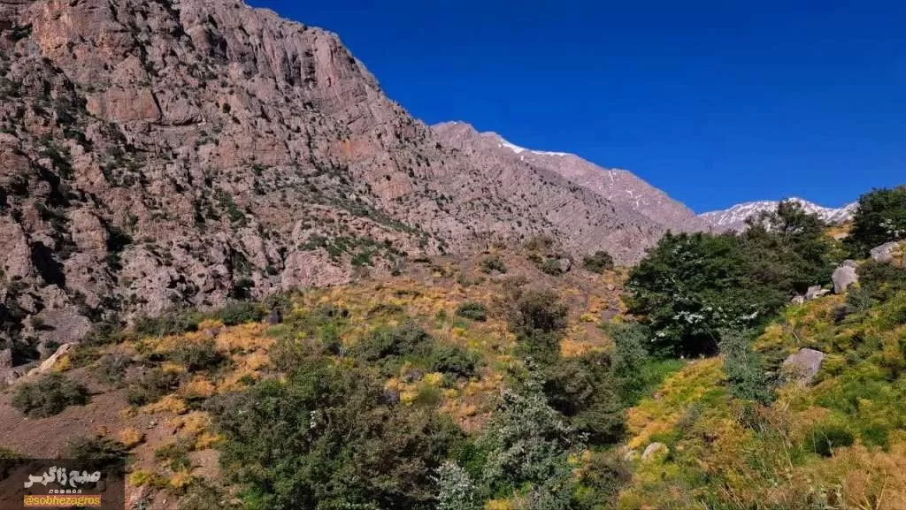 کوه‌گل دنا در قاب تصویر