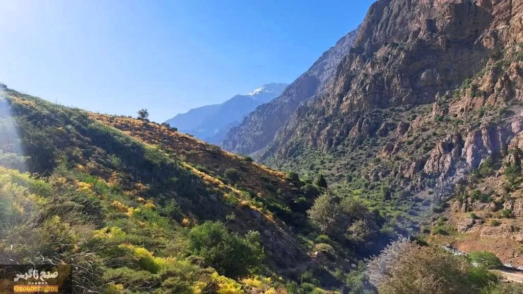 کوه‌گل دنا در قاب تصویر