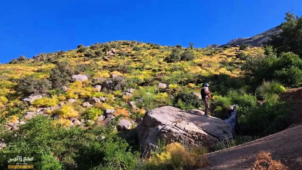 کوه‌گل دنا در قاب تصویر