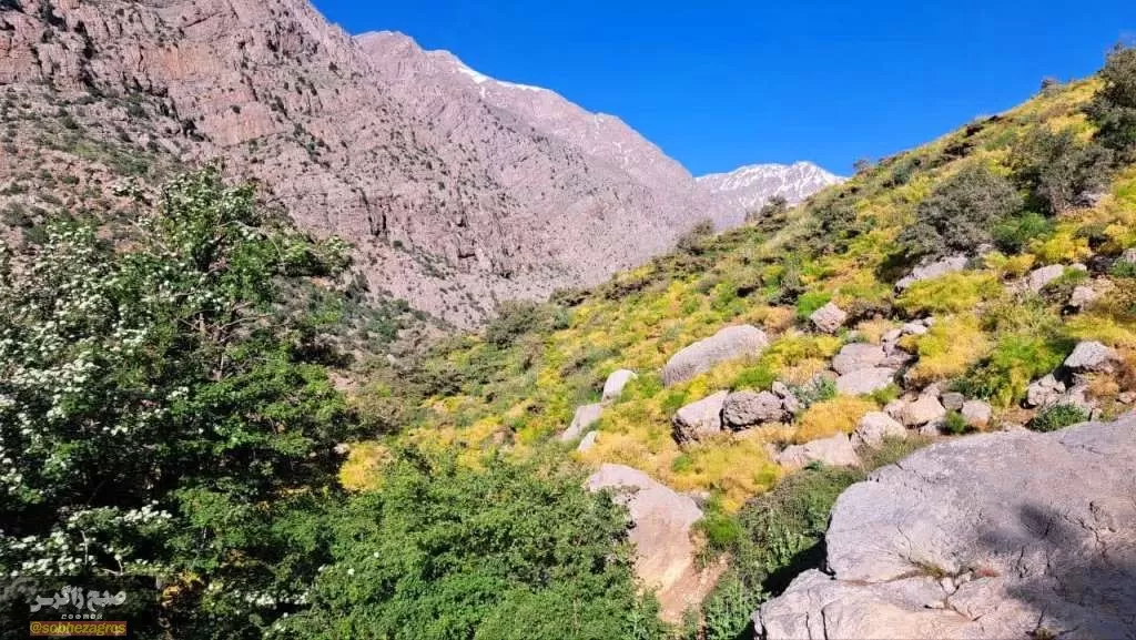 کوه‌گل دنا در قاب تصویر