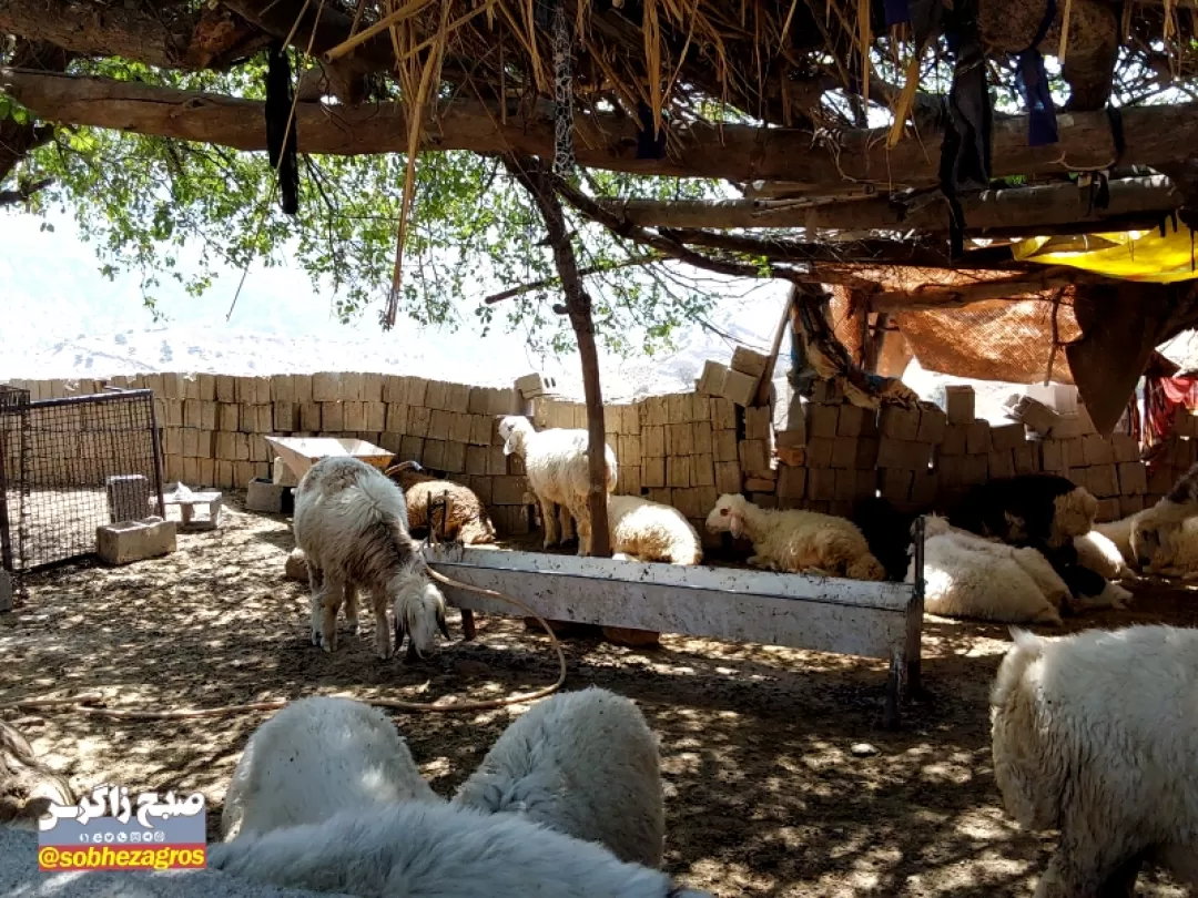 بررسی مشکلات روستاهای بخش مرکزی لنده