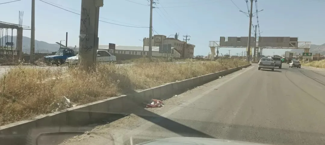 خودنمایی خار وخاشاک در بلوار ورودی شهریاسوج