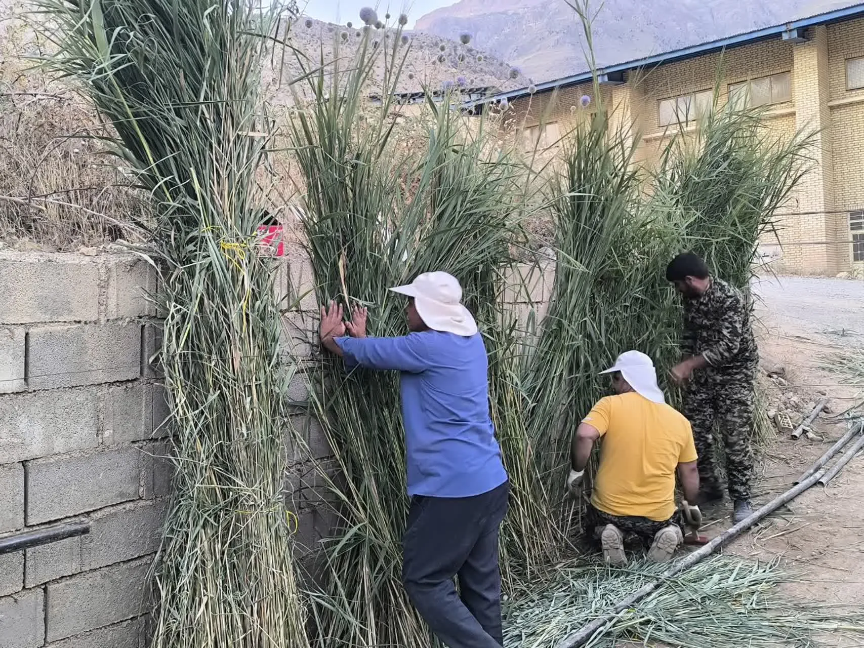 فضاسازی محل برگزاری اجلاسیه شهدای شهرستان دنا