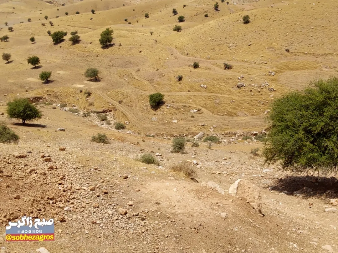 ورود دادستان به حادثه رانندگی خودرو در لنده