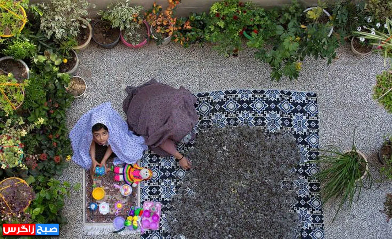 کهگیلویه‌وبویراحمد قطب «گیاهان دارویی» ایران زمین+ تصاویر