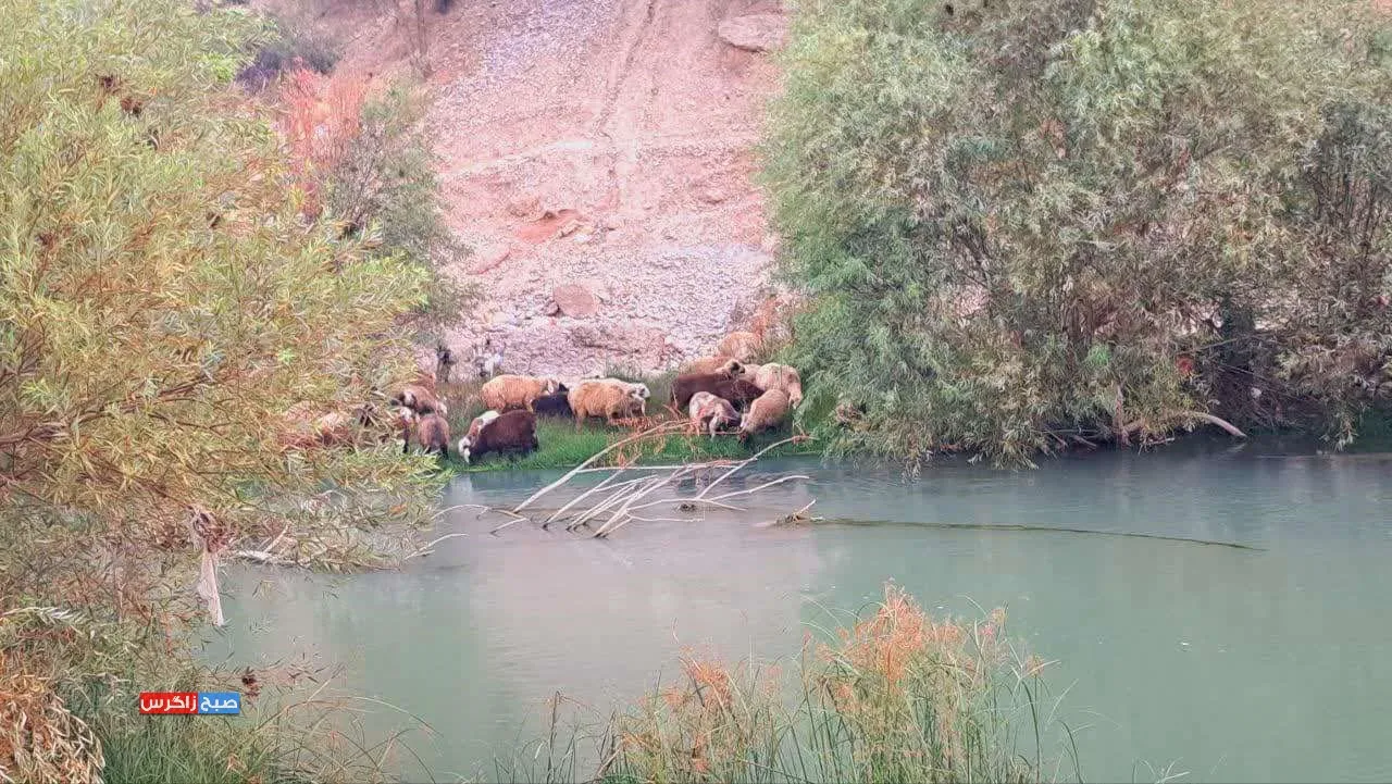 رودخانه بشار در روز‌های آخر تابستان